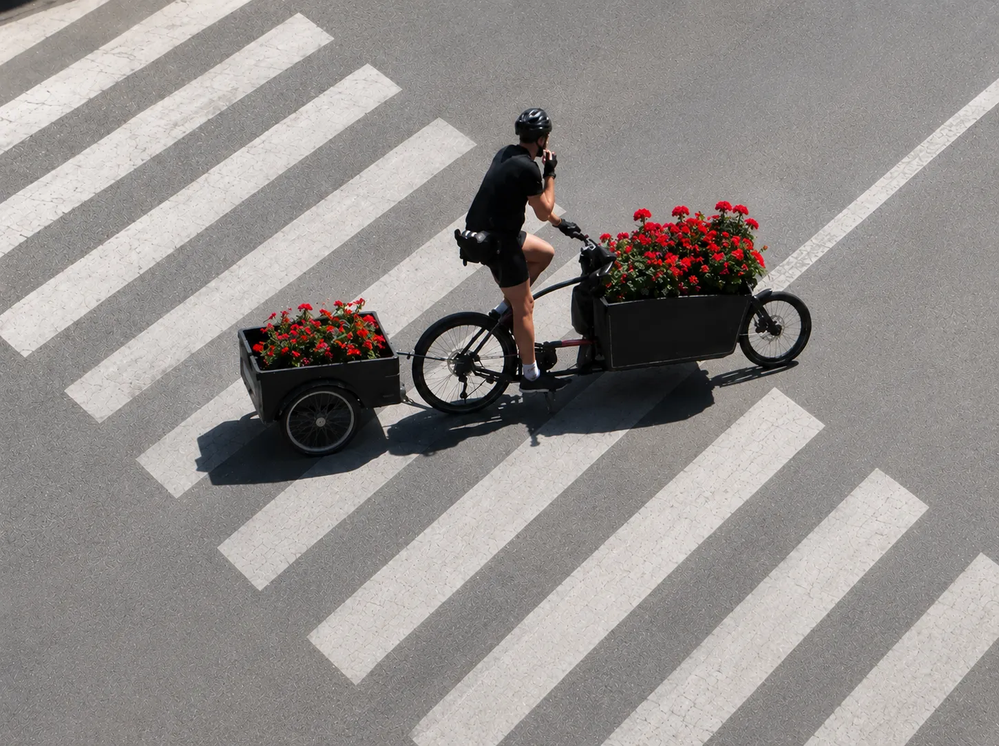 VAE & vélo cargo — réparation vélo à domicile Paris, The Rolling Steph